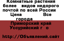 Комнатные растения более200видов недорого почтой по всей России › Цена ­ 100-500 - Все города  »    . Приморский край,Уссурийский г. о. 